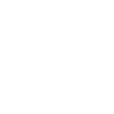 TERMAVI